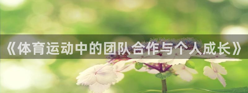A8体育赛事直播
