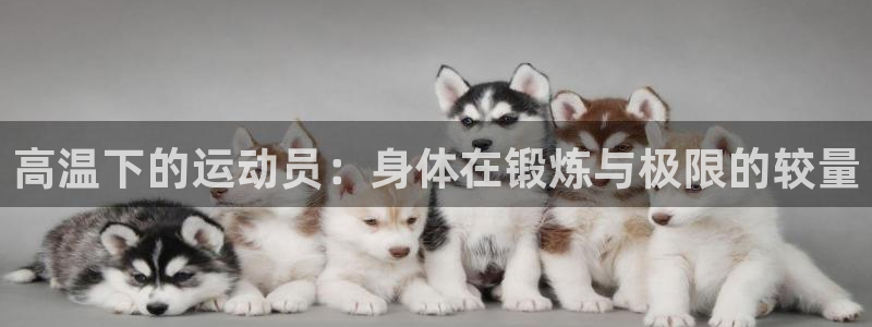 a8体育官网下载安装