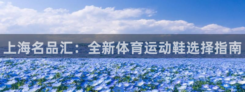 a8体育app苹果版
