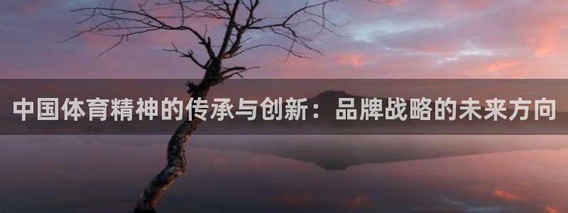 a8体育篮球回放：中国体育精神的传承与创新：品牌战略的未来方向
